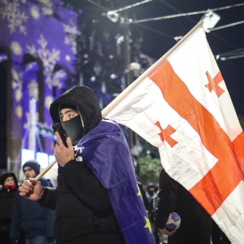 διαδηλωτες, σημαιες