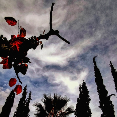 Έκτακτο δελτίο ΕΜΥ - Καταιγίδες