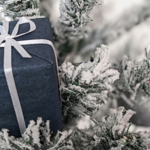 χριστουγεννιάτικα δώρα