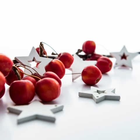 χριστουγεννιάτικα στολιδια