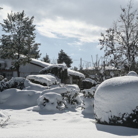 χιονισμενο τοπιο, δασος, δεντρα, σπιτια