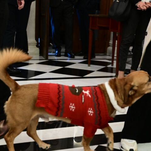 Ο Πίνατ με το εορταστικό του ντύσιμο έκλεψε την παράσταση στα κάλαντα στο Μαξίμου