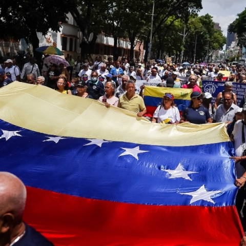 διαδηλωτες, σημαιες