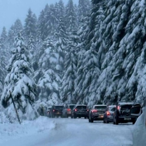 Τρίκαλα: Περισσότερα από 3.000 ΙΧ ανέβηκαν στο Περτούλι - Γιατί προκλήθηκε το κυκλοφοριακό κομφούζιο