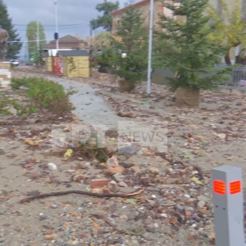 Στο έλεος της κακοκαιρίας η Εύβοια - Υπερχείλισε ο ποταμός Κηρέας, πλημμύρισαν σπίτια