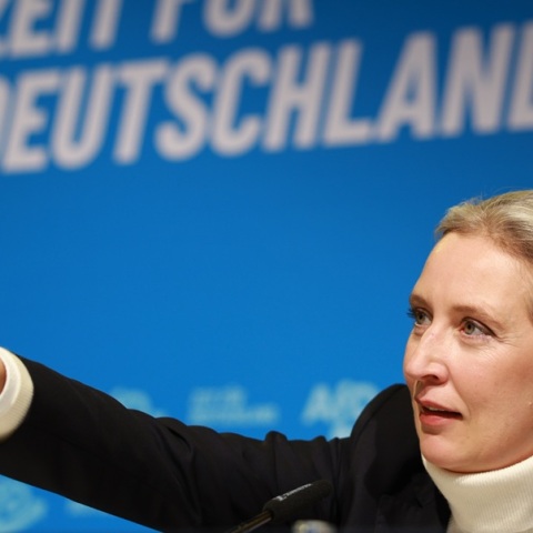 Γερμανία: Μυστική συνάντηση βουλευτών της AfD με νεοναζιστικές ομάδες στην Ελβετία