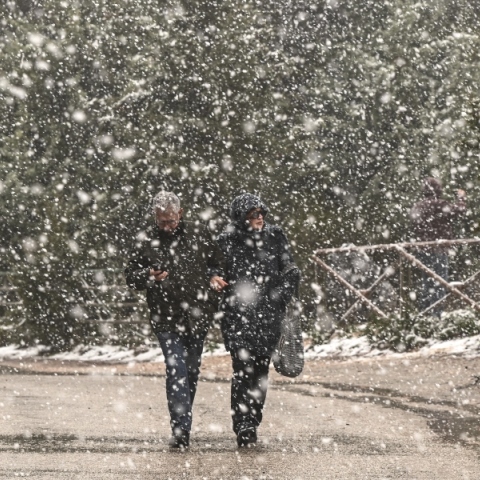 ζευγαρι περπατα στο δασος, χιονια