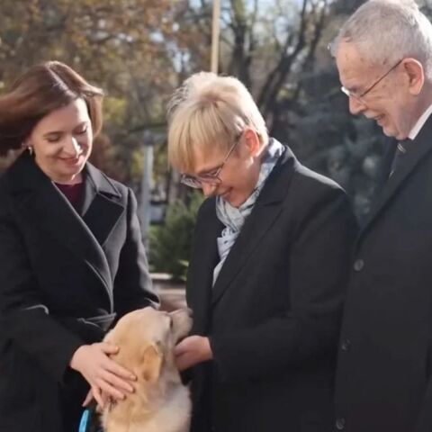 Μολδαβία: Βρέθηκε ο «άτακτος» σκύλος της προέδρου που είχε χαθεί