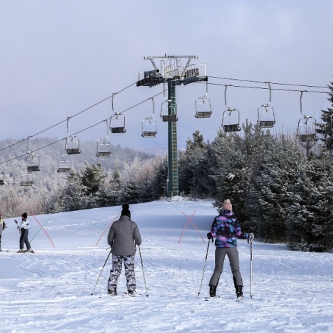 χιονια, σκιερ, βουνο, δασος