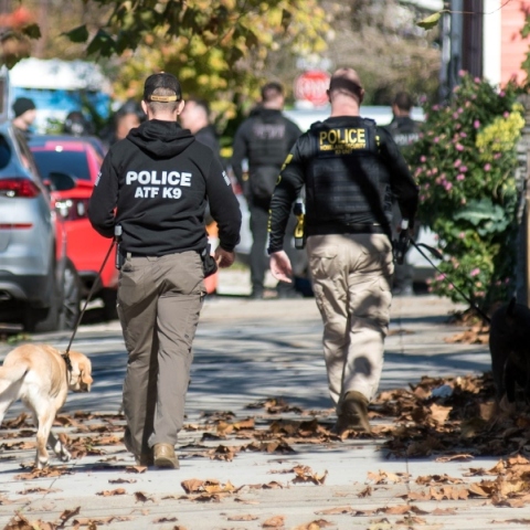 αστυνομικοι σε περιπολια στην πολη, σκυλος