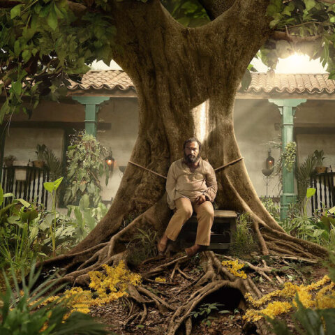 Εκατό χρόνια μοναξιά