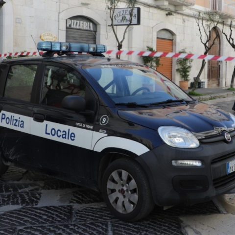 Περιπολικό της αστυνομίας 