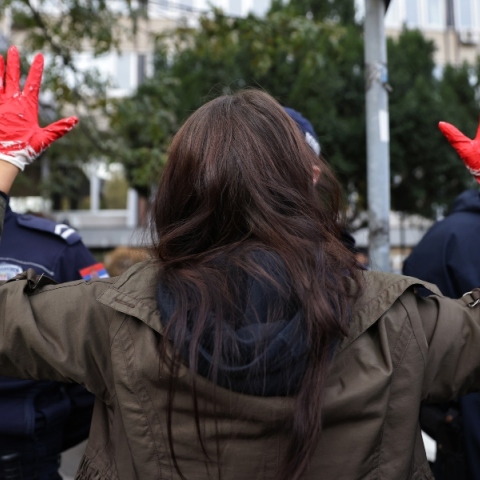 διαδηλωτρια, αστυνομικοι