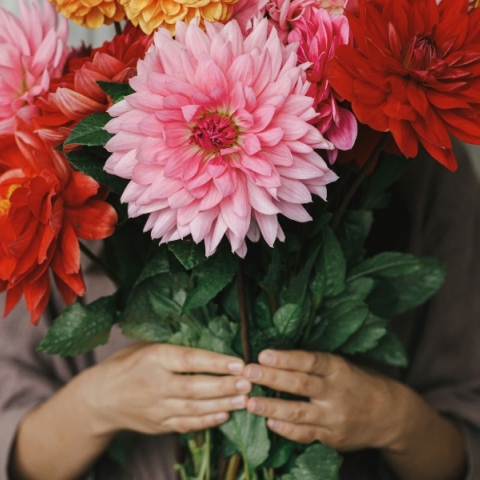 δυο χερια κρατανε μπουκετο με λουλουδια