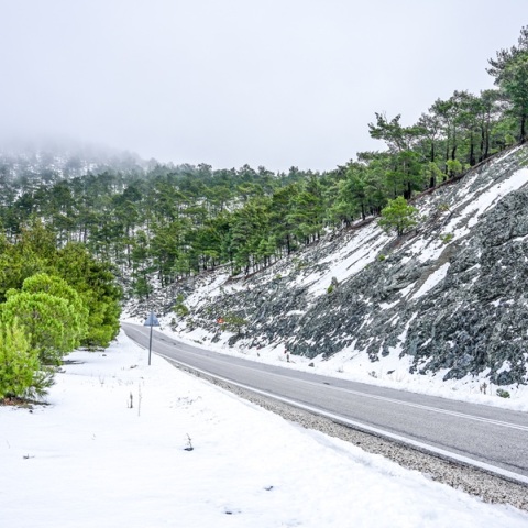 Νέα χιόνια σε Φθιώτιδα, Φωκίδα, Ευρυτανία- Ολονύχτια μάχη να μείνουν ανοιχτοί οι δρόμοι