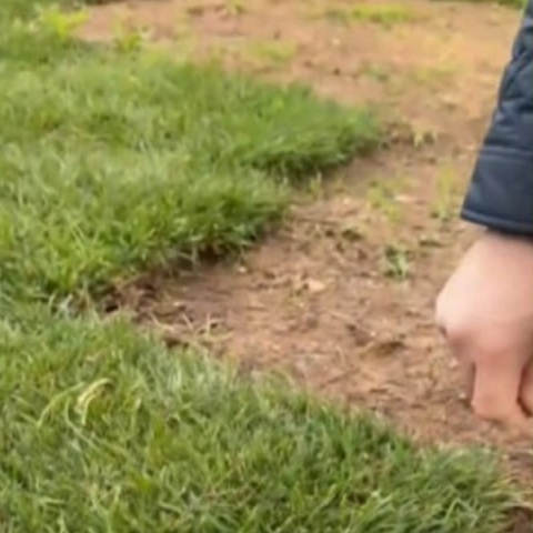 Έκλεψαν το γκαζόν από το δήμο Ελληνικού - «Ο ευρών αμειφθήσεται» λέει ο δήμαρχος