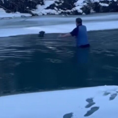 Δραματική διάσωση σκύλου από παγωμένο ποτάμι στο Βερμόντ