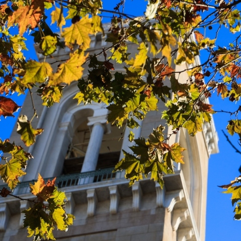 ουρανος, φυλλα, πυργος