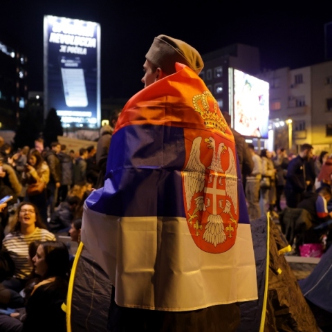 διαδηλωτες, σημαιες