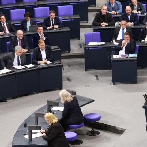 γερμανικο κοινοβούλιο