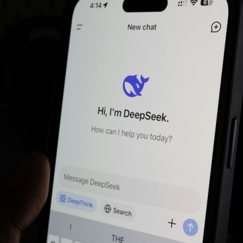 DeepSeek