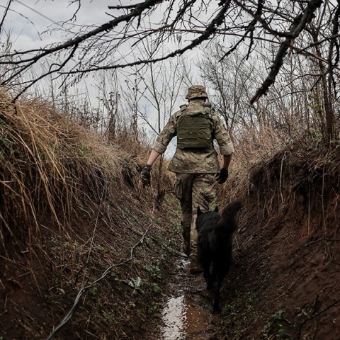 στρατιωτης, χαρακωματα, σκυλος, δασος