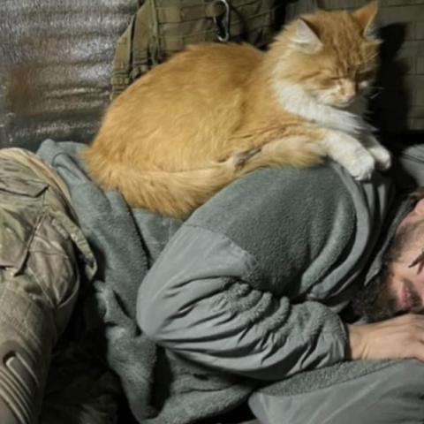 Κίεβο καλεί Αθήνα: ποίηση κι από τις δύο μεριές της γλώσσας