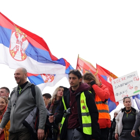 διαδηλωτες, σημαιες