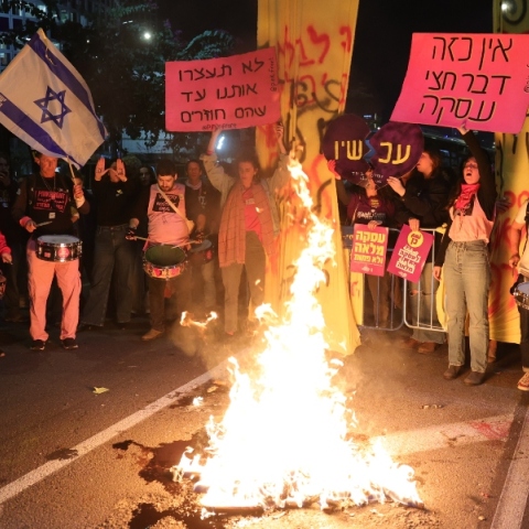 διαδηλωτες, σημαιες