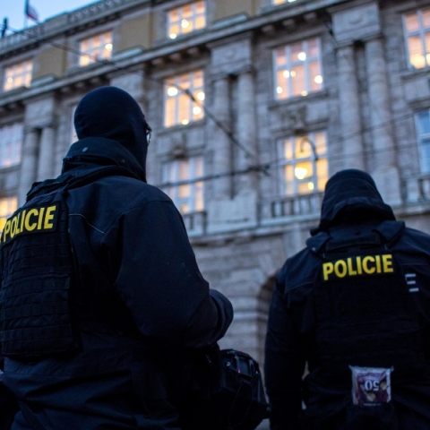 Τσέχοι αστυνομικοί