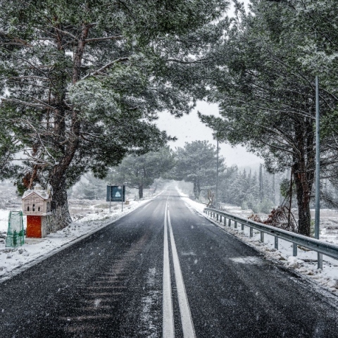 χιονισμενο τοπιο, δασος, δεντρα, δρομος