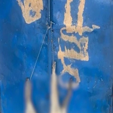 Καρδίτσα: Κρέμασαν νεκρό σκύλο σε πόρτα δημοτικού σχολείου