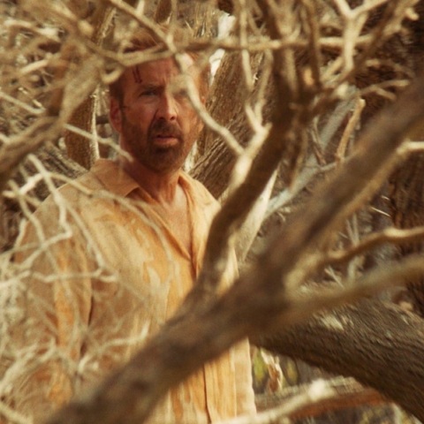 The Surfer: Δείτε το τρέιλερ της νέας ταινίας με τον Νίκολας Κέιτζ