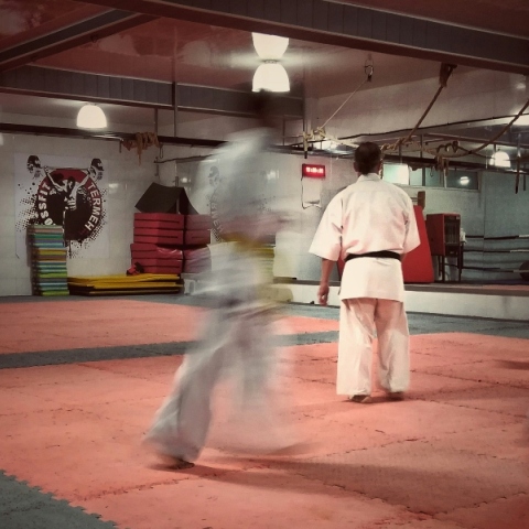 αθλητες πολεμικων τεχνων