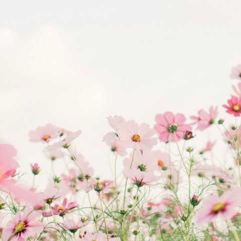 Εορτολόγιο: Σήμερα 12 Μαρτίου 2025 γιορτάζει…