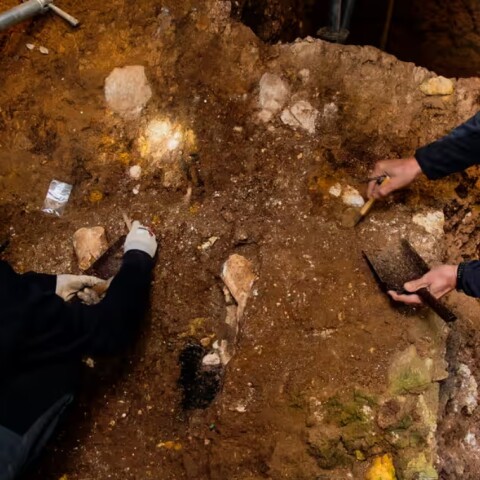 Ισπανία: Βρέθηκαν κομμάτια οστών ενός εξαφανισμένου είδους που έζησε πριν από 1,4 εκατομμύρια χρόνια