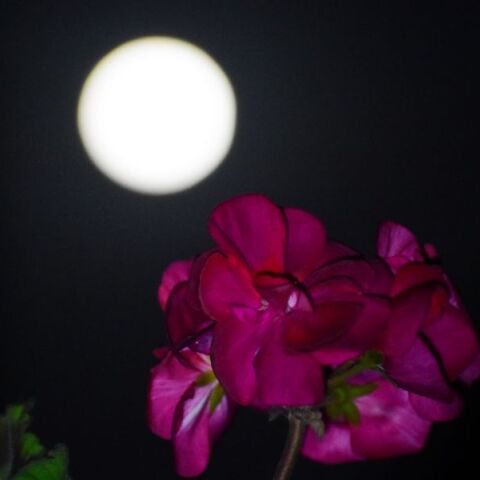 Η Πανσέληνος του «Σκουληκιού» φώτισε τον ουρανό 