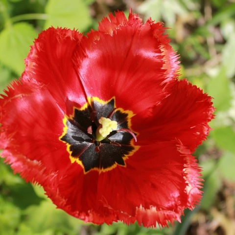 Εορτολόγιο: Σήμερα 22 Μαρτίου 2025 γιορτάζει…