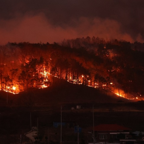 Νότια Κορέα: Στους 24 οι νεκροί από τις φονικές πυρκαγιές - Νεκρός πιλότος ενός πυροσβεστικού ελικοπτέρου 