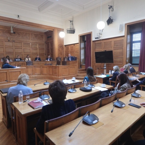 βουλευτες, εδρανα, επιτροπη