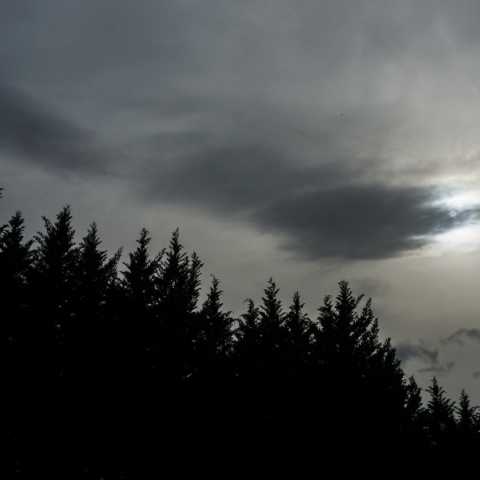 συνεφφα, ουρανος, δεντρα