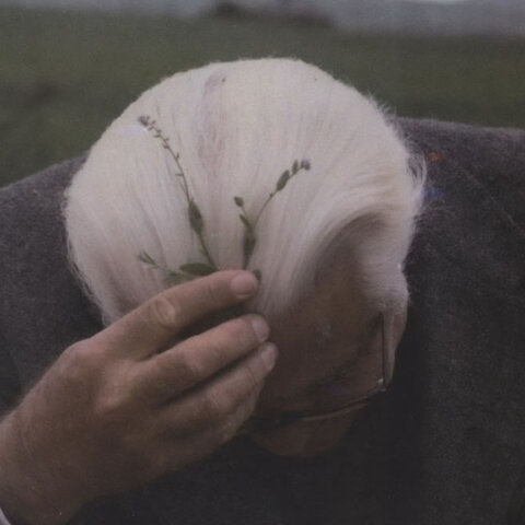 Ο Νίκος Πεντζίκης