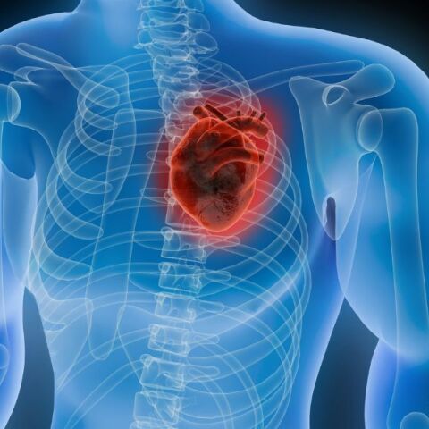 Συνδυασμός στατινών και εζετιμίμπης μειώνει θανάτους και καρδιακά επεισόδια μετά από καρδιακή προσβολή, προτείνει νέα επιστημονική μελέτη.