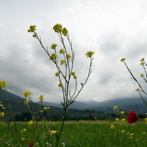 Εορτολόγιο