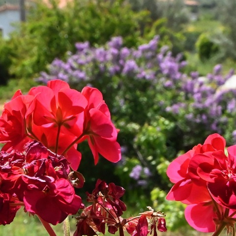 Καιρός: «Μίνι» καλοκαίρι με «30άρια» αλλά και βροχές - Η πρόγνωση για την Κυριακή του Πάσχα