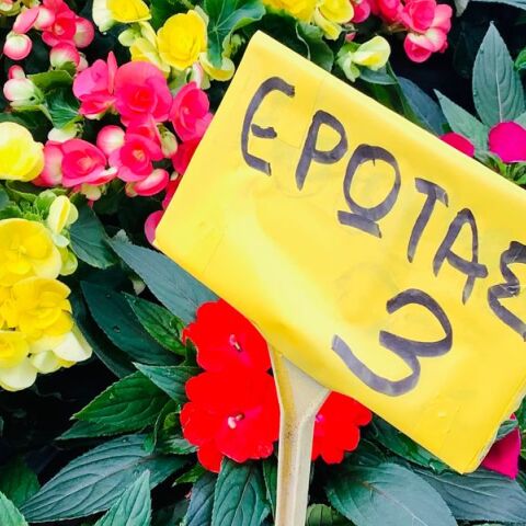 Ανθοέκθεση Καλαμαριάς