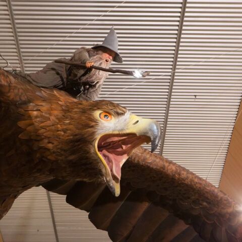 Νέα Ζηλανδία: Αποσύρεται οριστικά το γιγαντιαίο γλυπτό του Γκάνταλφ πάνω σε έναν αετό