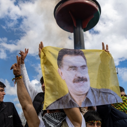 διαδηλωτες, σημαιες