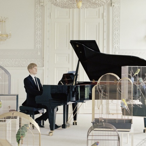 Annika Kahrs, «Playing to the birds»