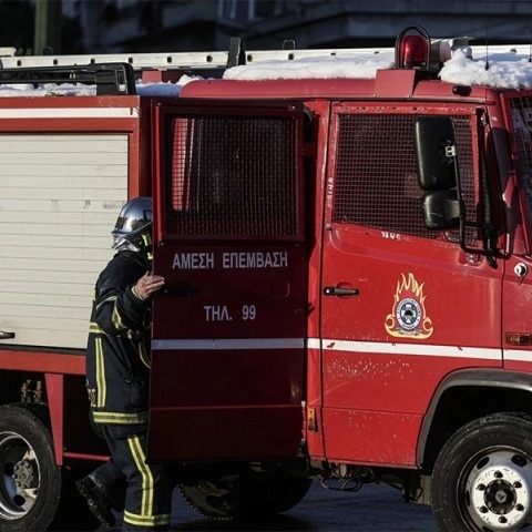 πυροσβεστες, φωτια, δασος